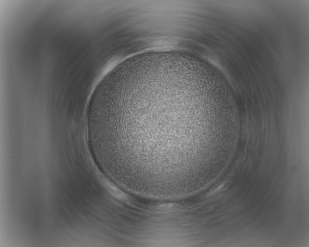 X0000068271467200604241245