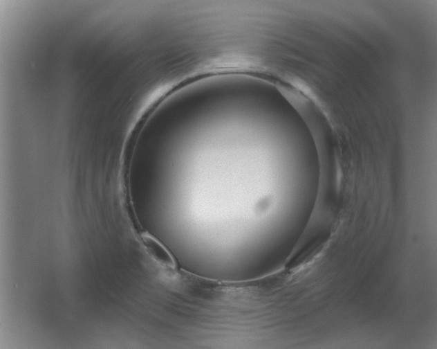 X0000068271469200604241245