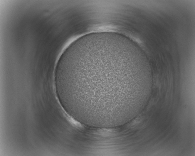 X0000068271470200604241245