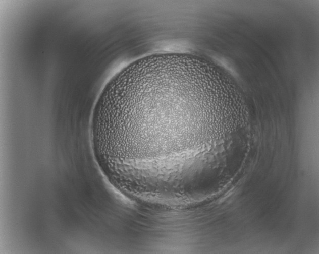 X0000068271471200604241245