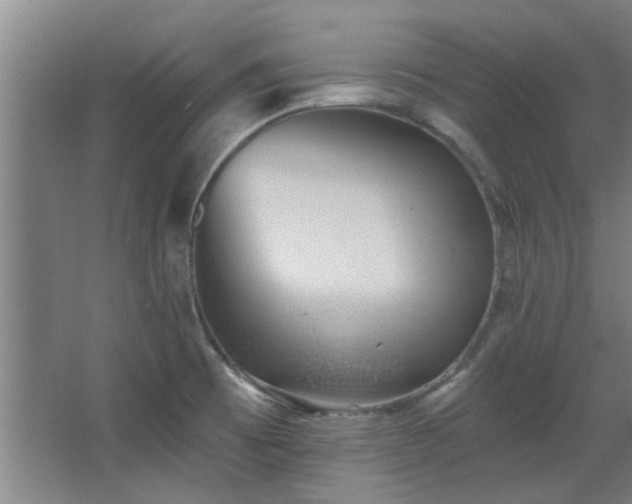 X0000068271473200604241245