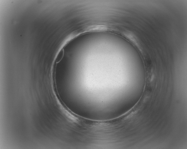 X0000068271475200604241245