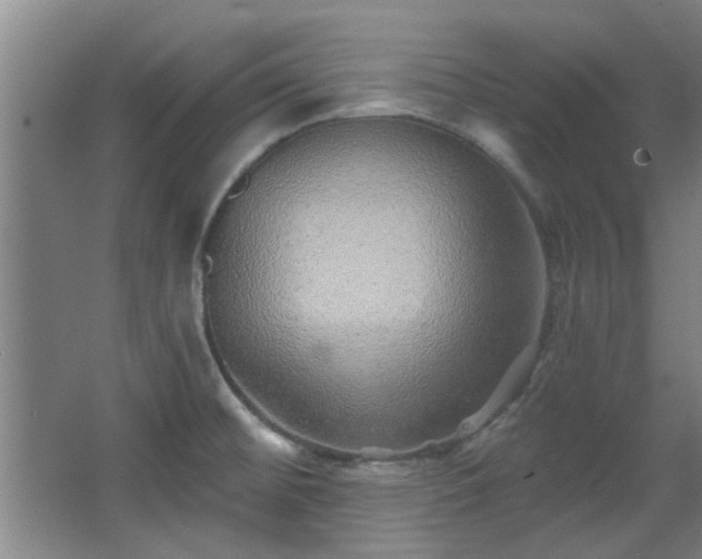 X0000068271476200604241245