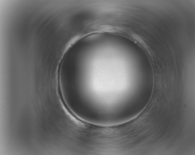 X0000068271479200604241245