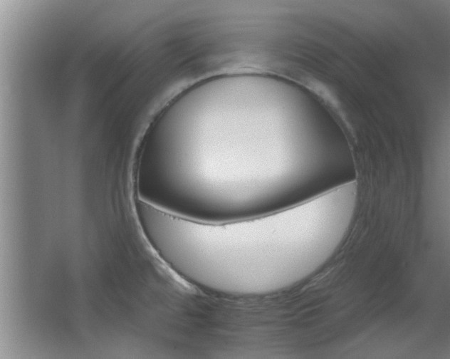 X0000068271480200604241245