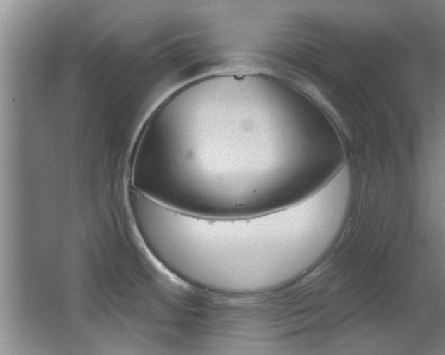 X0000068271484200604241245