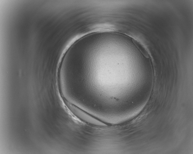 X0000068271488200604241245