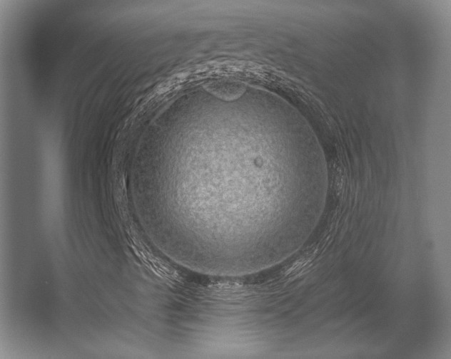 X0000068271489200604241244