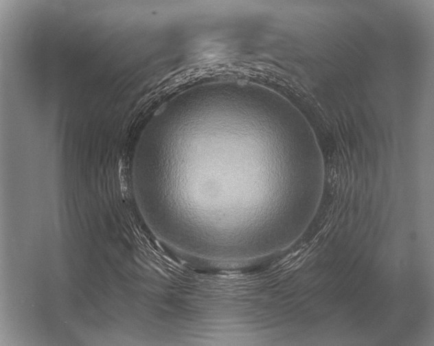 X0000068271490200604241244