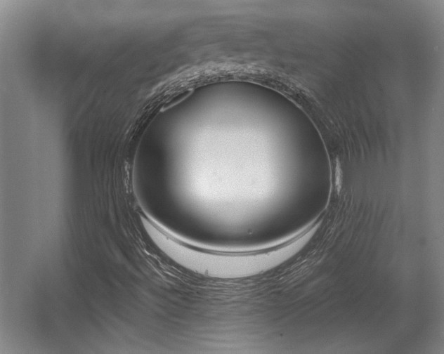 X0000068271492200604241244