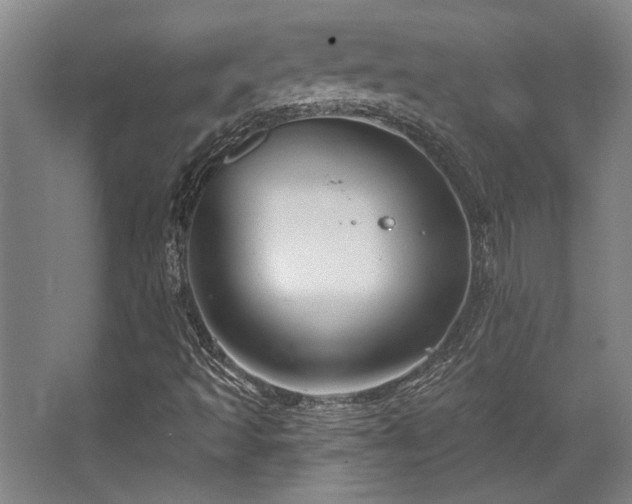 X0000068271493200604241244