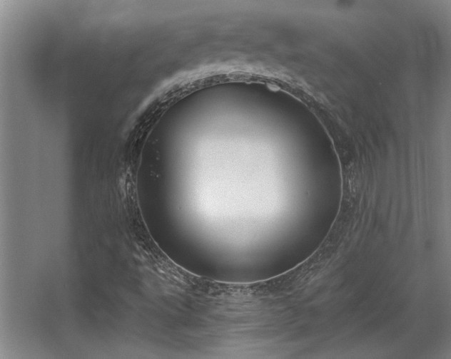 X0000068271495200604241244