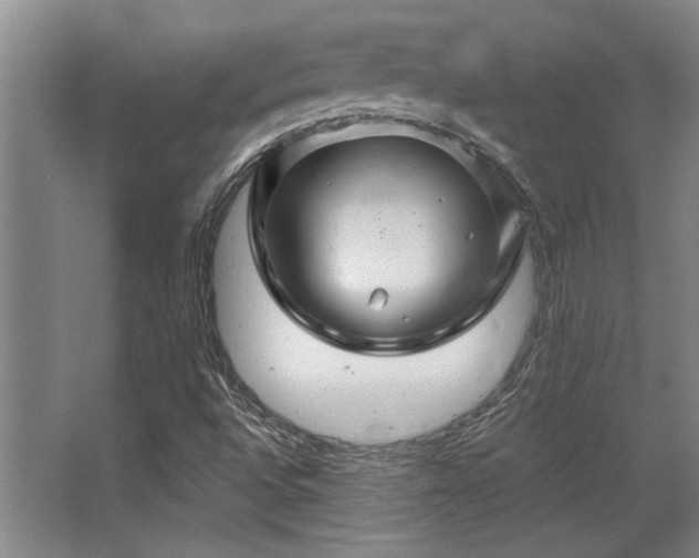 X0000068271496200604241244