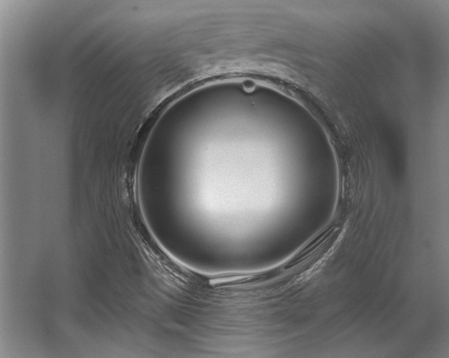 X0000068271497200604241244