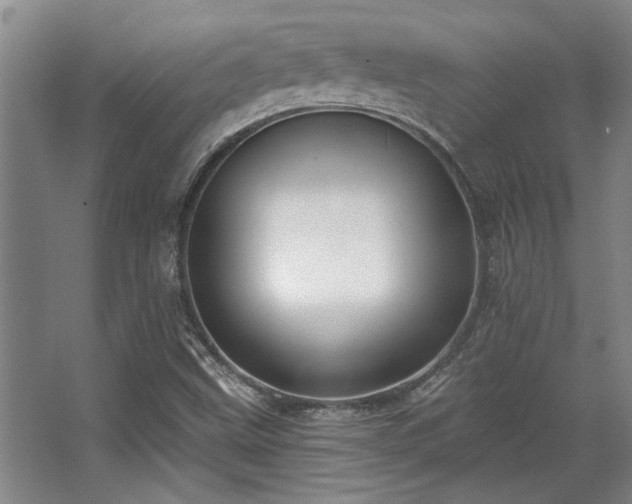 X0000068271499200604241244