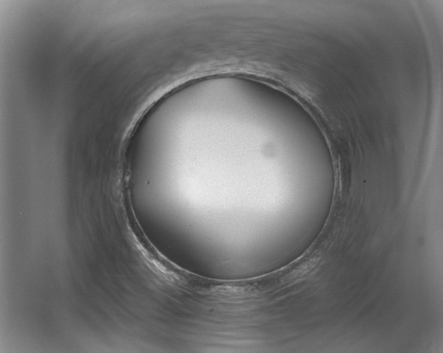 X0000068271500200604241244