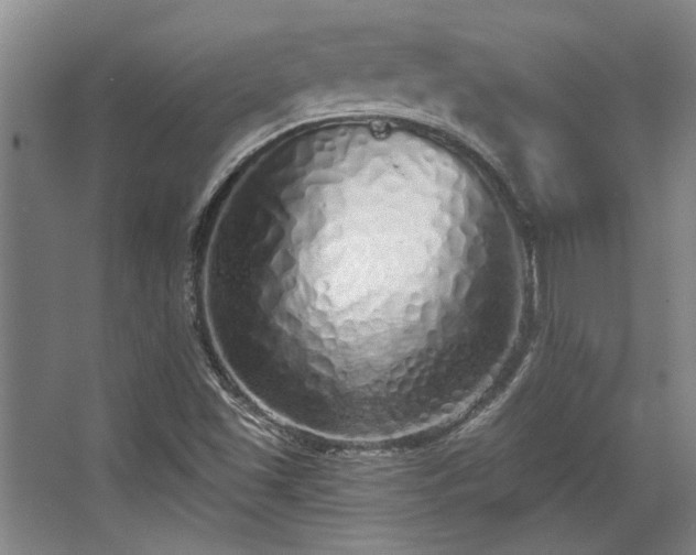 X0000068271501200604241244