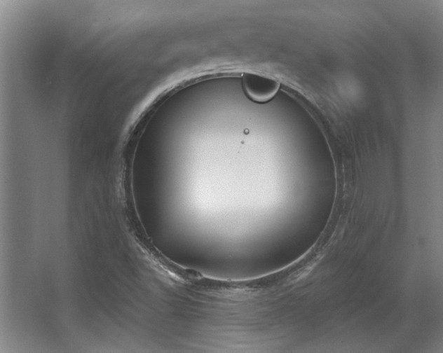 X0000068271502200604241244