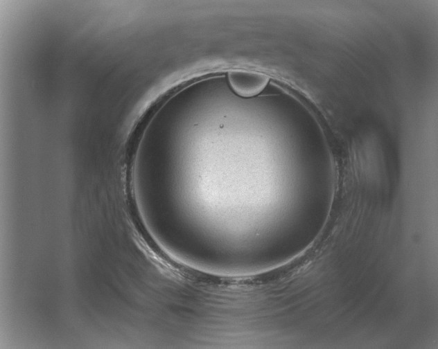 X0000068271503200604241244