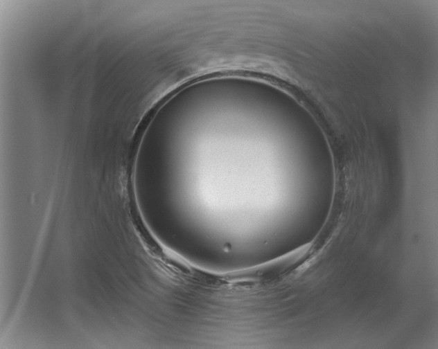 X0000068271505200604241244