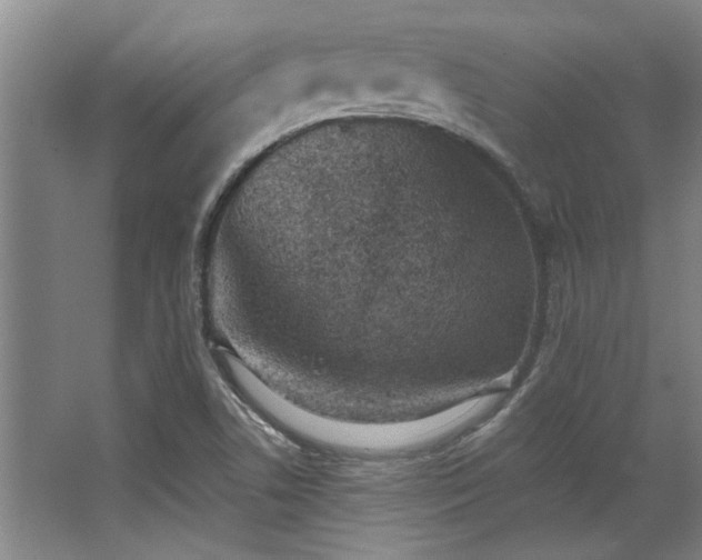 X0000068271506200604241244