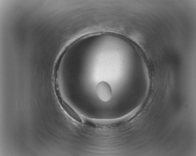 X0000068271508200604241244