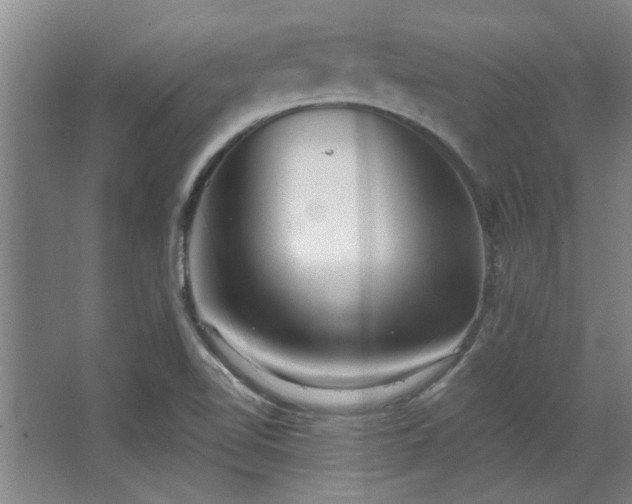 X0000068271510200604241244