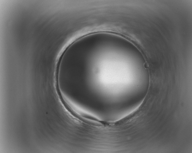 X0000068271512200604241244