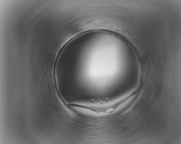 X0000068271513200604241244