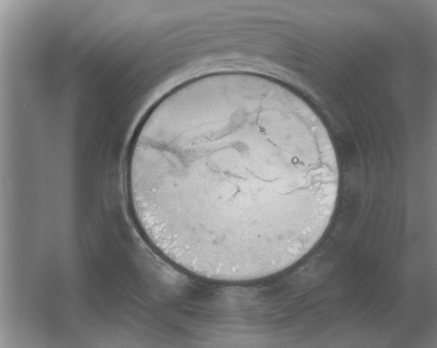 X0000068271514200604241244