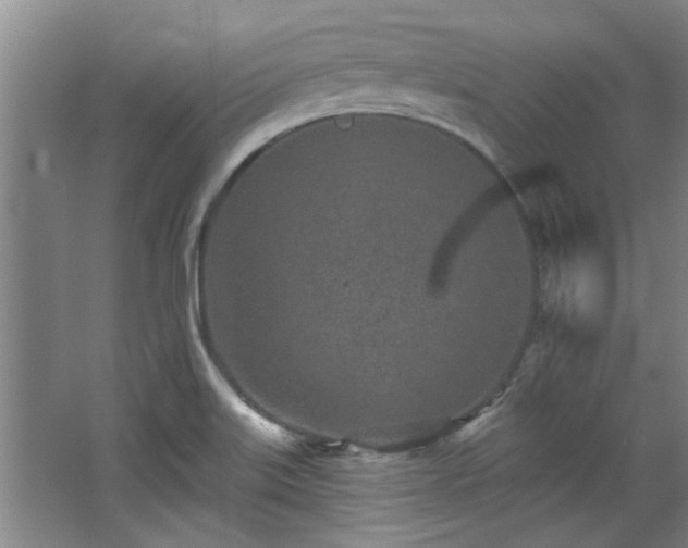 X0000068271515200604241244