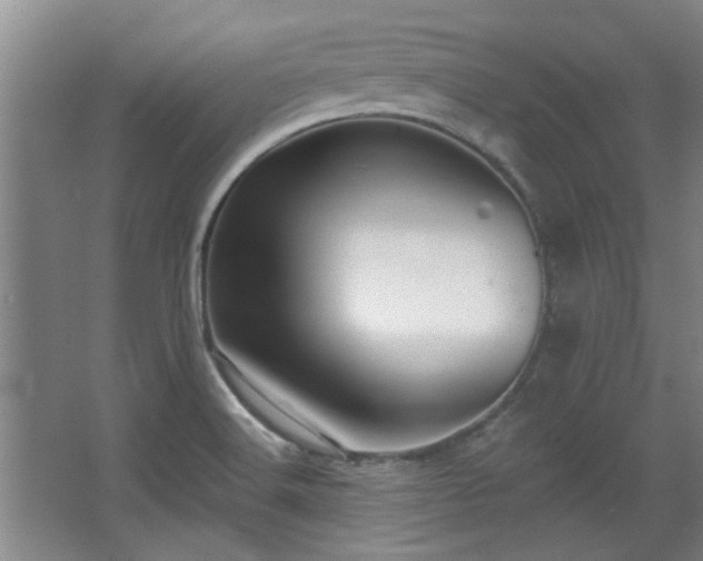 X0000068271516200604241244