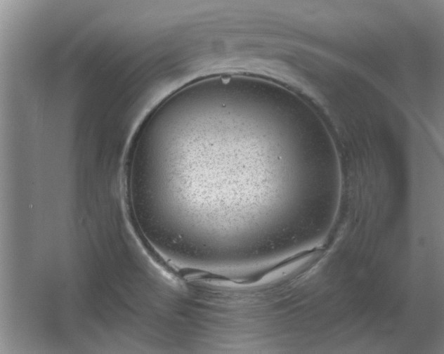 X0000068271517200604241244