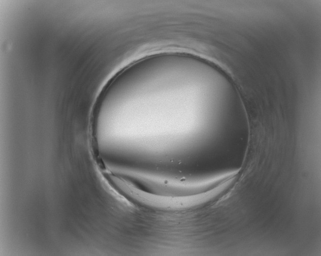 X0000068271518200604241244