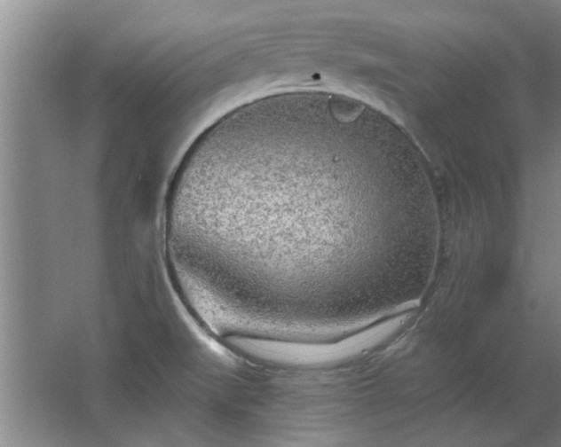 X0000068271519200604241244