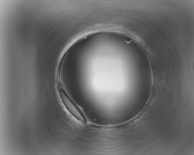 X0000068271520200604241244