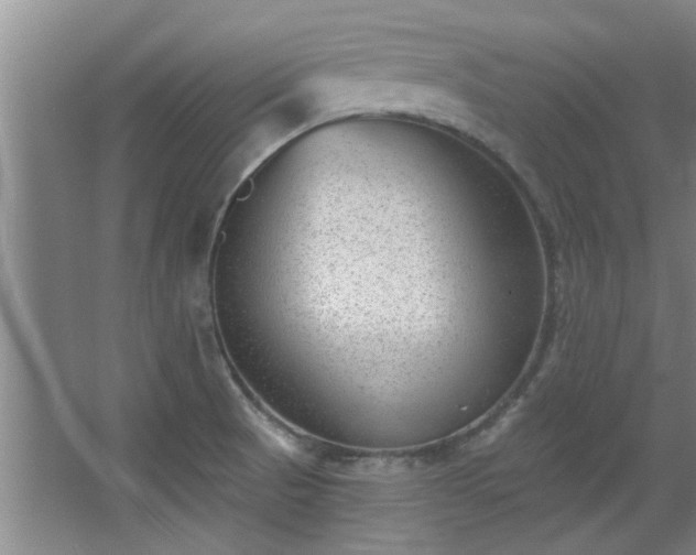 X0000068271521200604241244