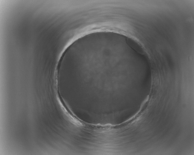 X0000068271522200604241244