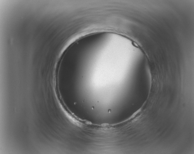 X0000068271523200604241244