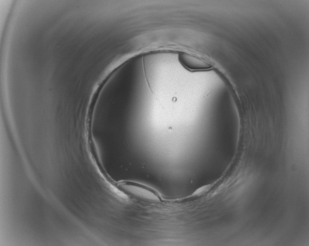 X0000068271525200604241244