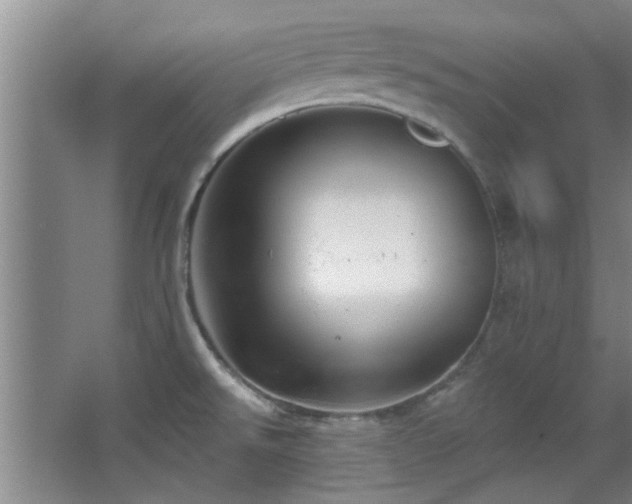 X0000068271526200604241244