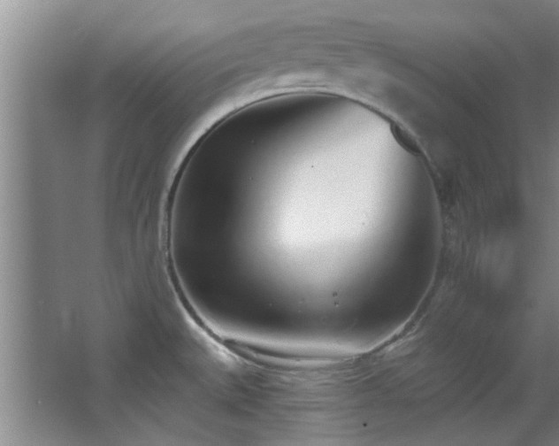 X0000068271527200604241244