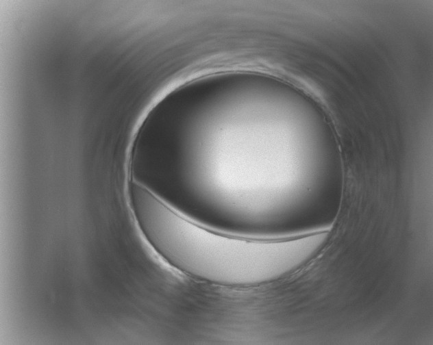 X0000068271528200604241244