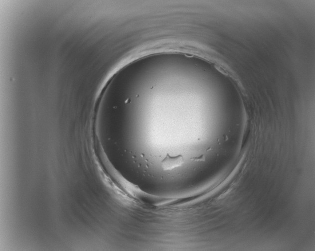 X0000068271530200604241244