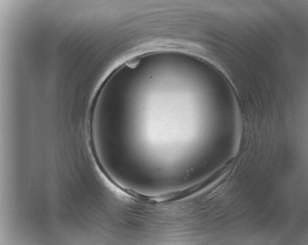 X0000068271531200604241244