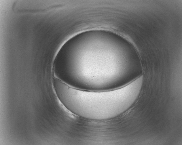 X0000068271532200604241244