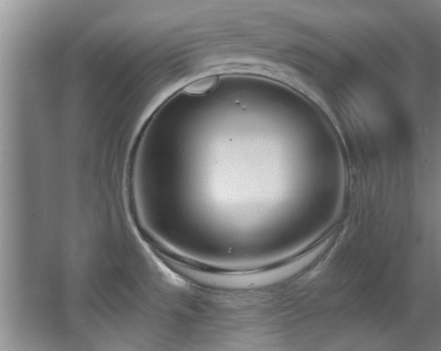 X0000068271533200604241244