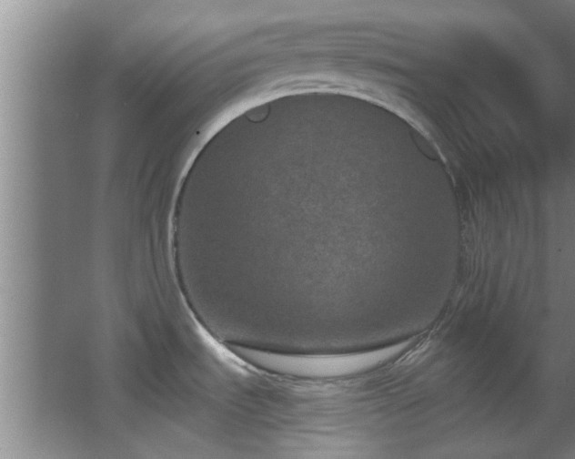 X0000068271535200604241245