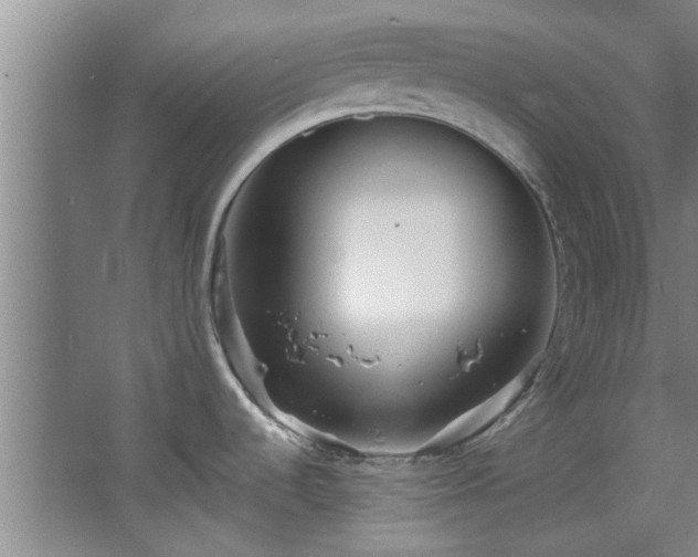 X0000068271536200604241245