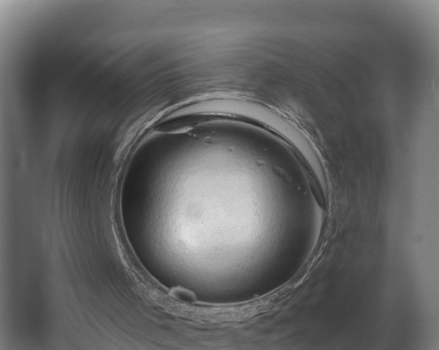 X0000068270001200604281603